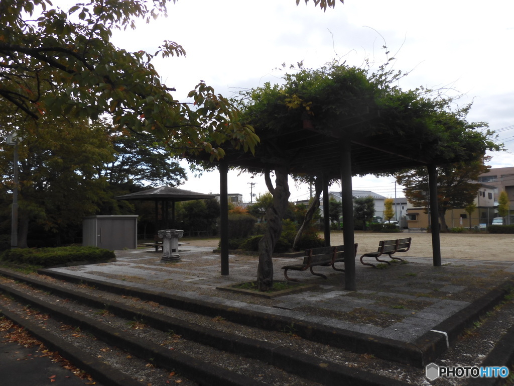 公園