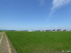 快晴 快晴