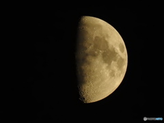 月齢９.１日
