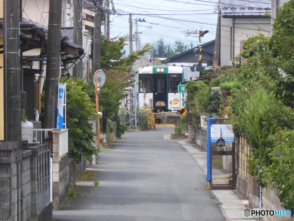 陸羽東線