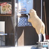 お店のかんばん？