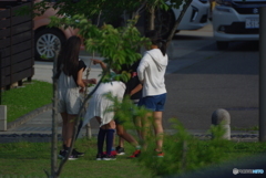 被写体がほしいよぉ~~