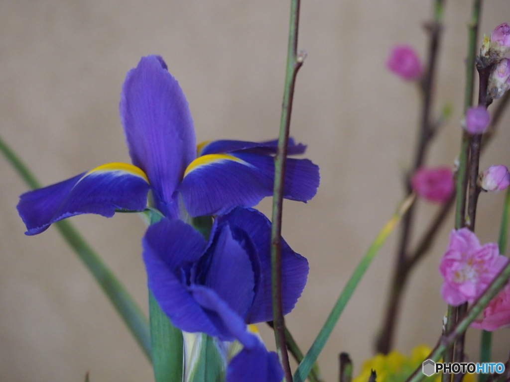 今月のお花教室