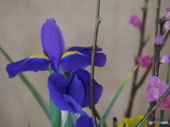 今月のお花教室 今月のお花教室