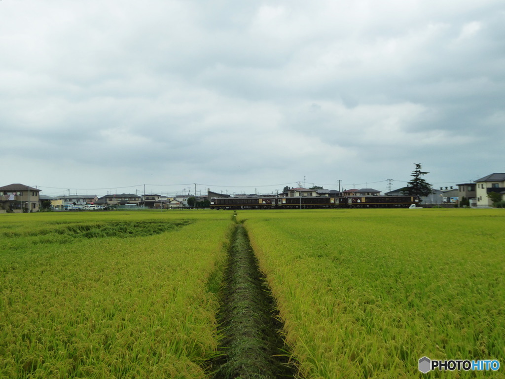 リゾートみのり通過