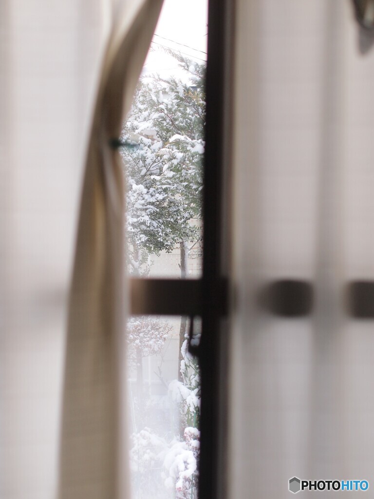 雪