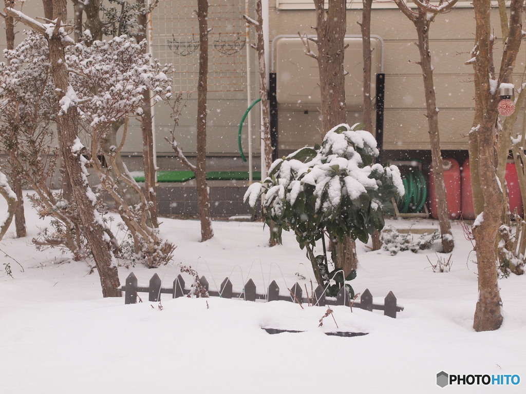 降る雪　積もる雪