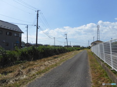 除草の後