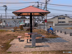 自転車を練習する孫