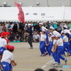 運動会の花　騎馬戦