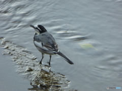 ぐぐっと寄れて