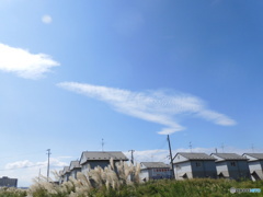 雲