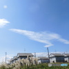 雲