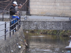 鯉に餌をやる人