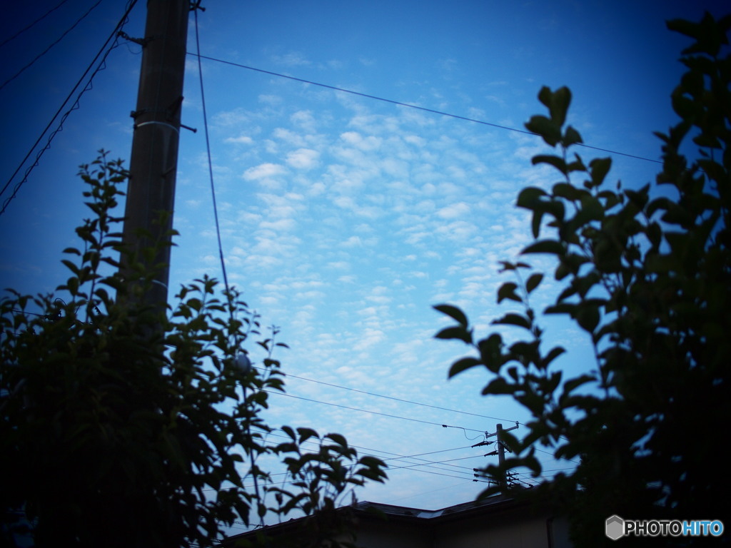 夕暮れのうろこ雲