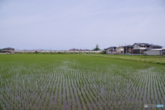 四季島通過３　遠景