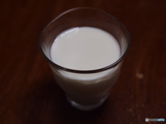 牛乳を極める