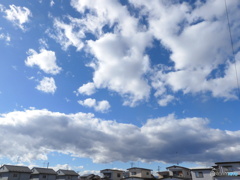 くも