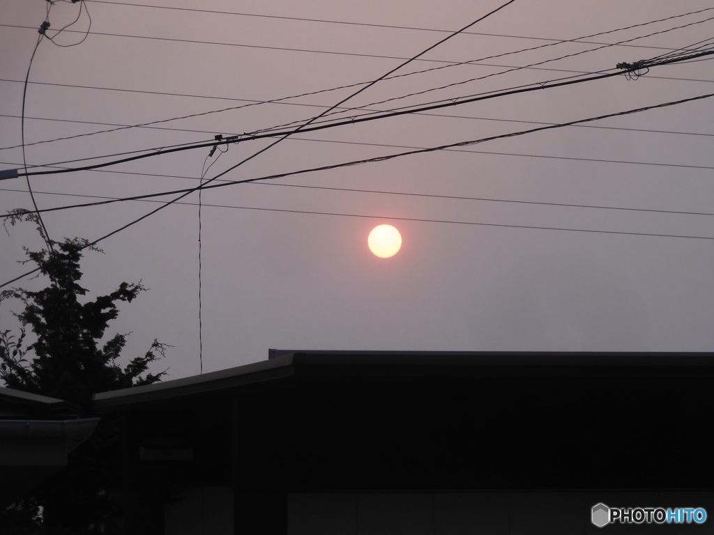 今朝の太陽