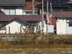 四季島通過を待つまち人