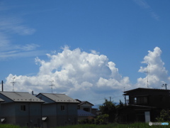 夏雲