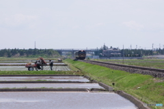 田植えスタート