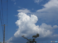 夏空