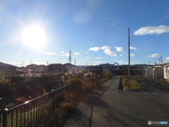 逆光の陸羽東線