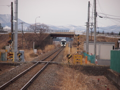 きた　きた