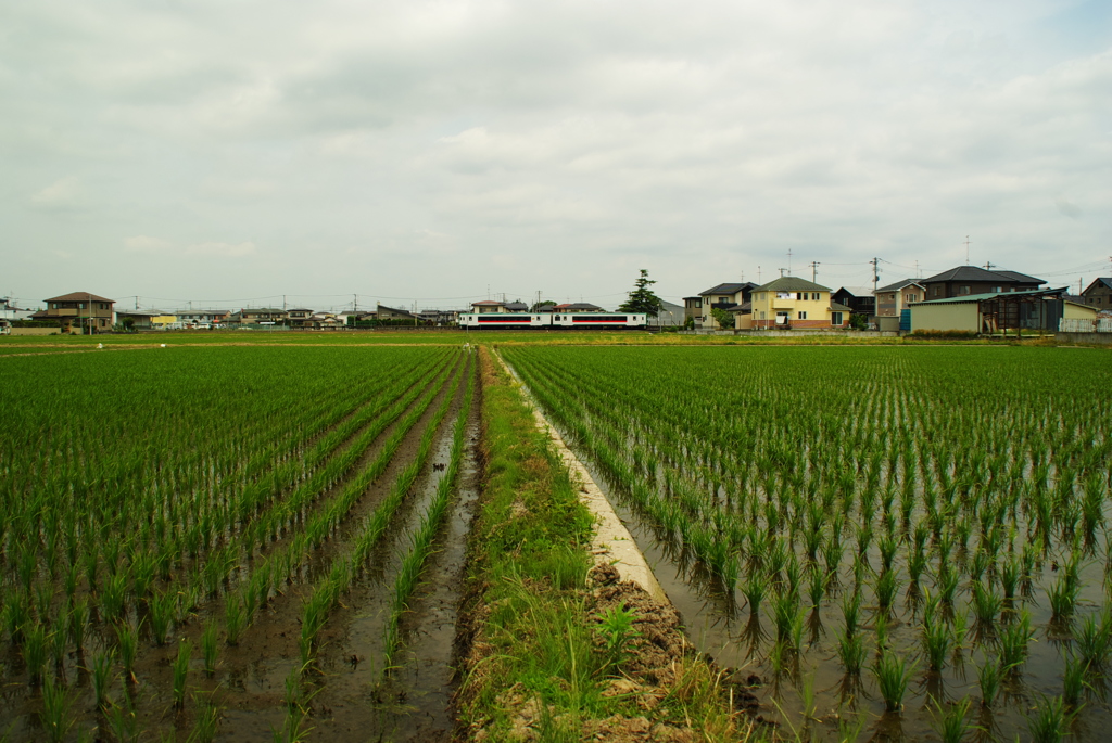 陸羽東線　２
