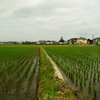 陸羽東線　２