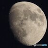 月齢10.5日