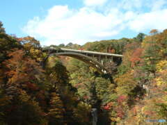 ２００３年の紅葉