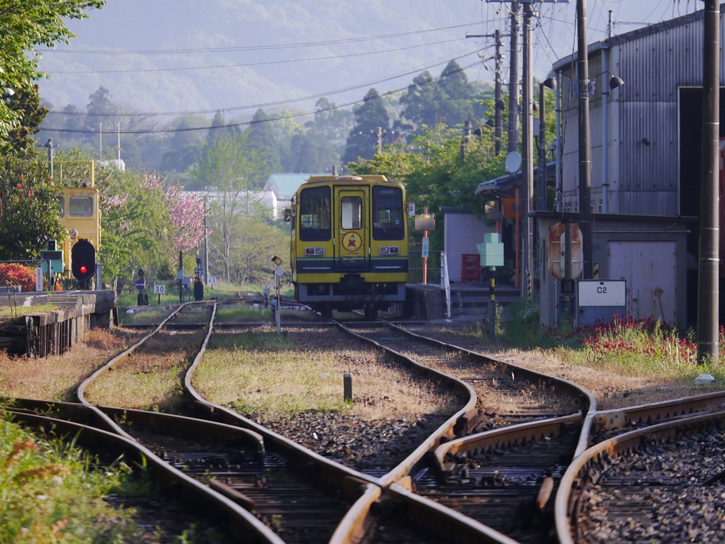 ムーミンかな？