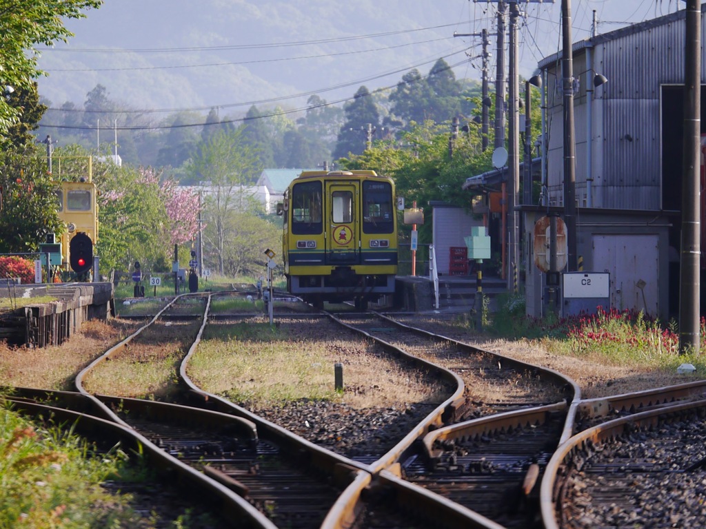 ムーミンかな？