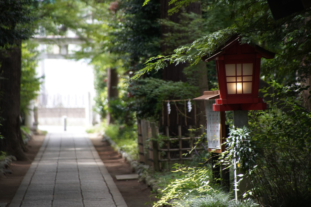 廣幡八幡宮にて