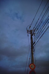 青と40