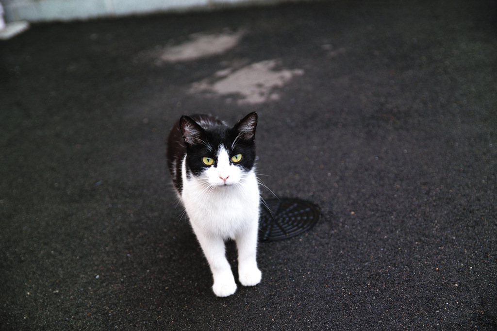 雨上がりの誘惑