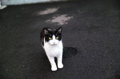 雨上がりの誘惑