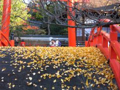 2014 紅葉 京都 下鴨神社