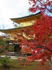 2014紅葉 京都 金閣寺