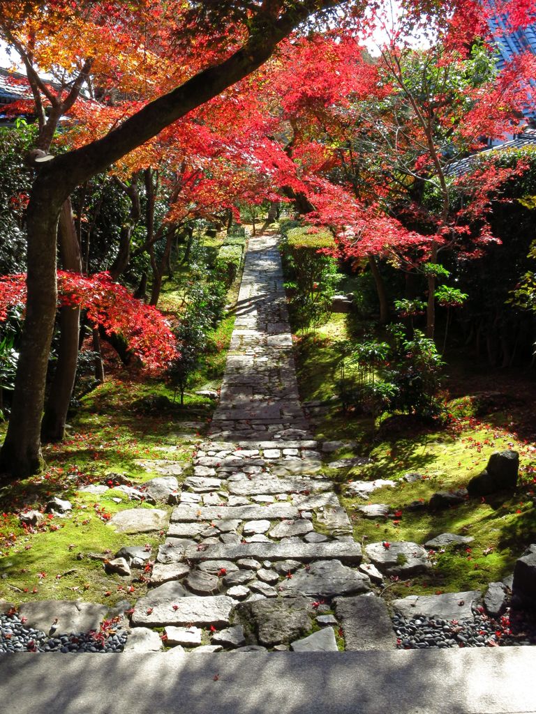 2014 紅葉 京都 竜安寺3