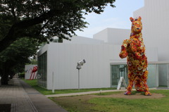 お待ち申してました。