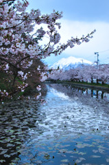 弘前城公園　撮影記
