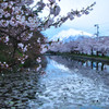 弘前城公園　撮影記