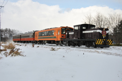 復活!!・・・・・を待っています(>_<)