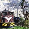 津軽の桜2