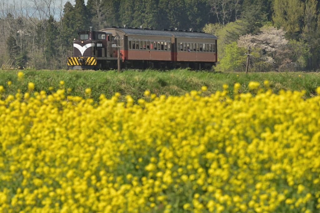 春の津軽鉄道　　1