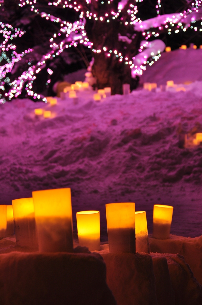 弘前城　雪灯篭祭　2012