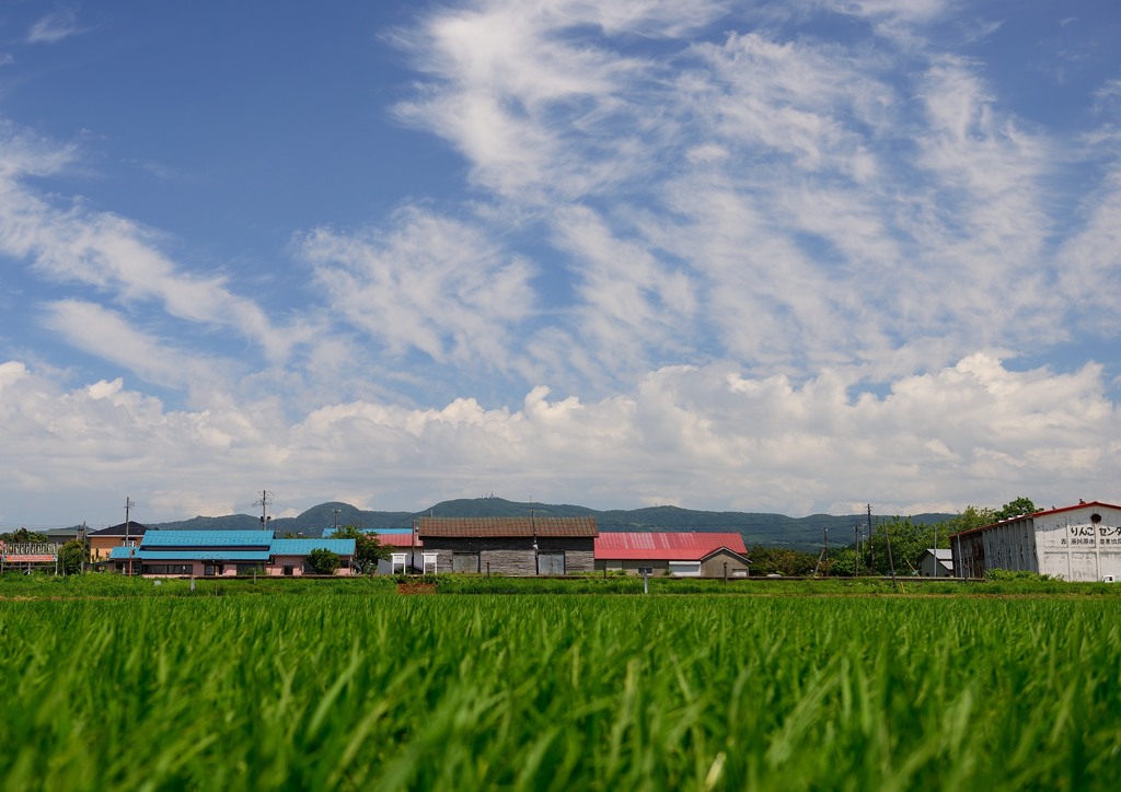 田舎の小さな駅
